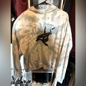 Pacsun Alaska Hoodie